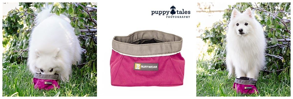 puppytalesphotography Ruffwear Quencher — Collapsible Water Bowl 2