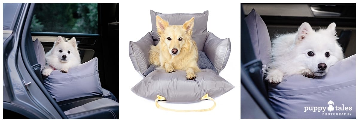 puppytalesphotography Society Hound Travel Bed Car Seat 1
