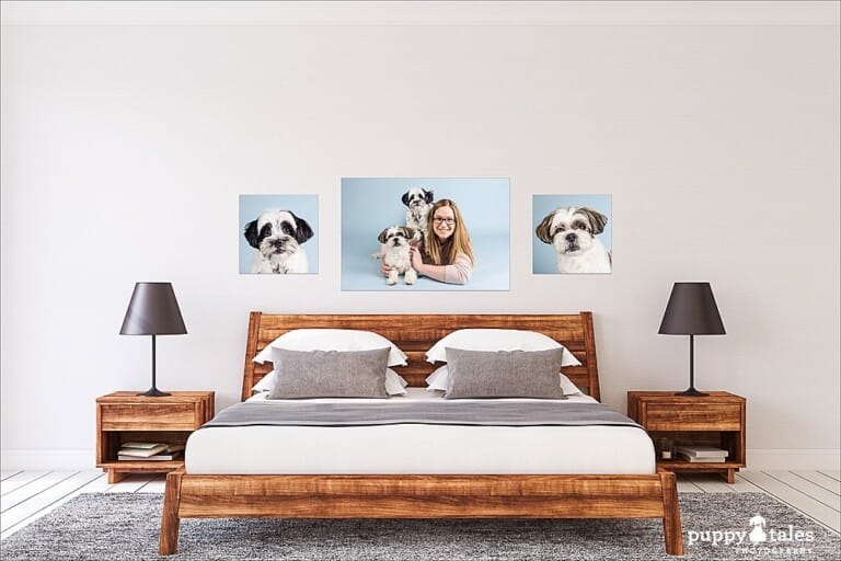 puppytalesphotography-studio-Wallart-5