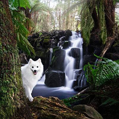 puppytalesphotography-waterfalls-5