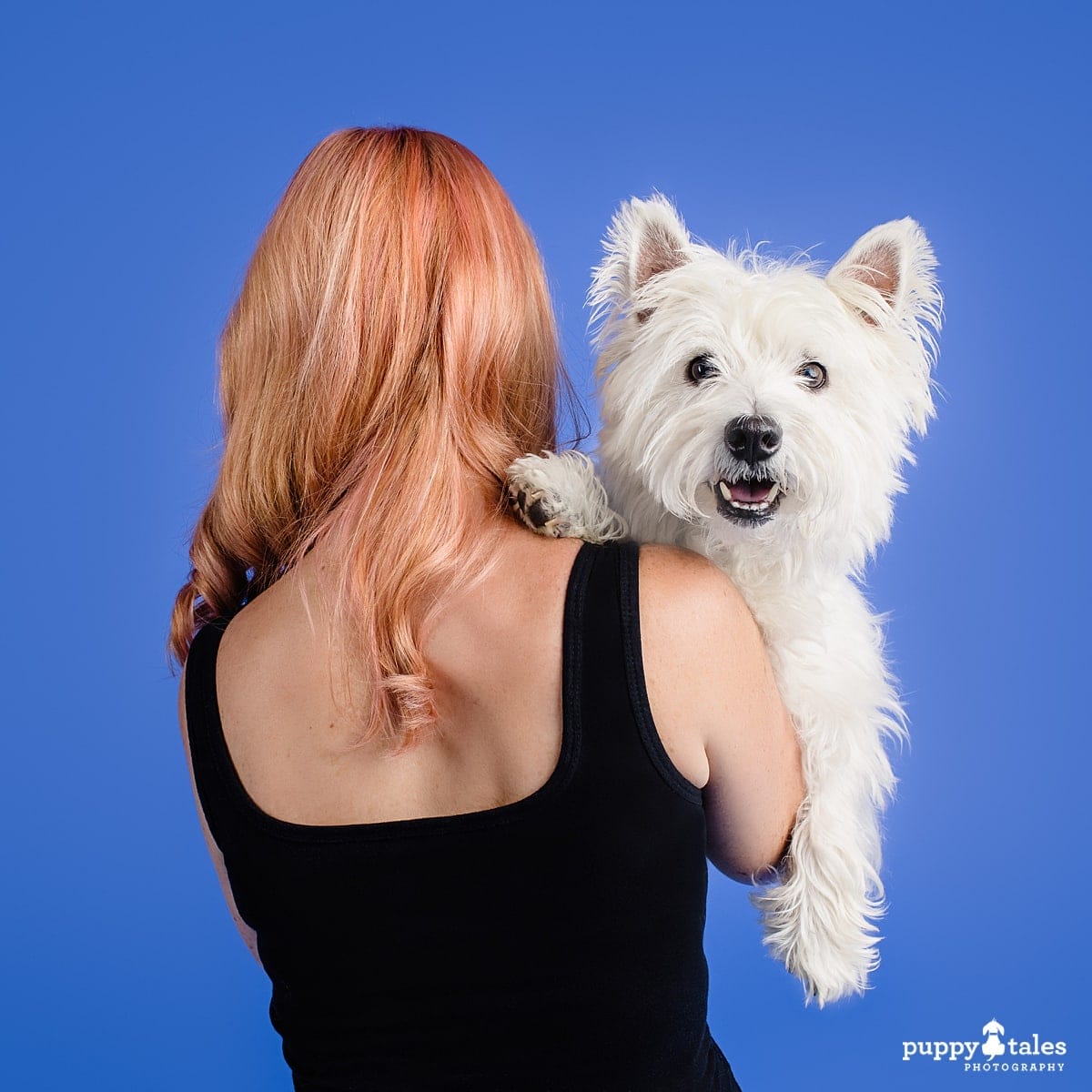  Dog photo of Roxy the West Highland White Terrier being hugged by her human Heidi. The studio background behind them is blue.