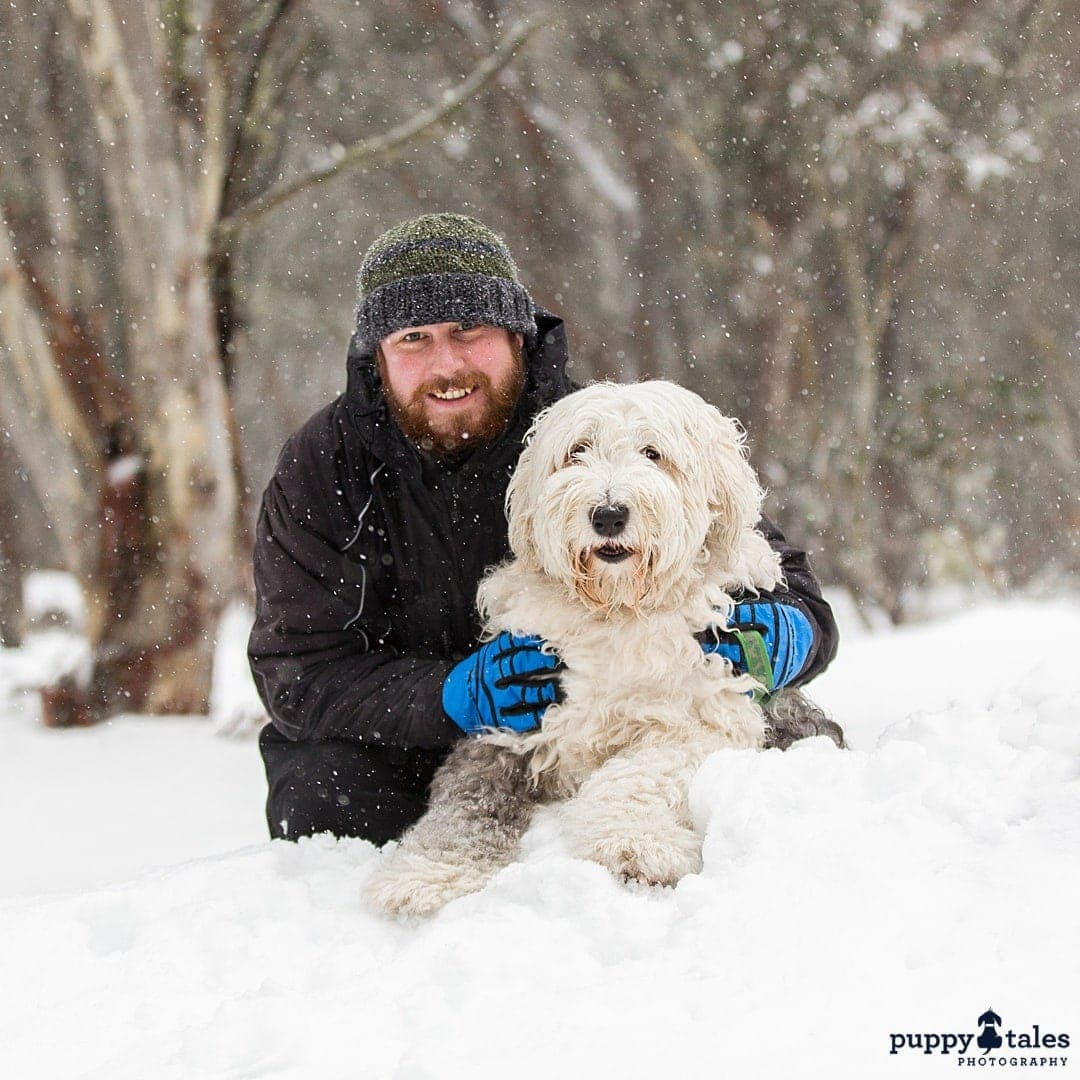 puppytalesphotography atozofsnowdogs gloves 1