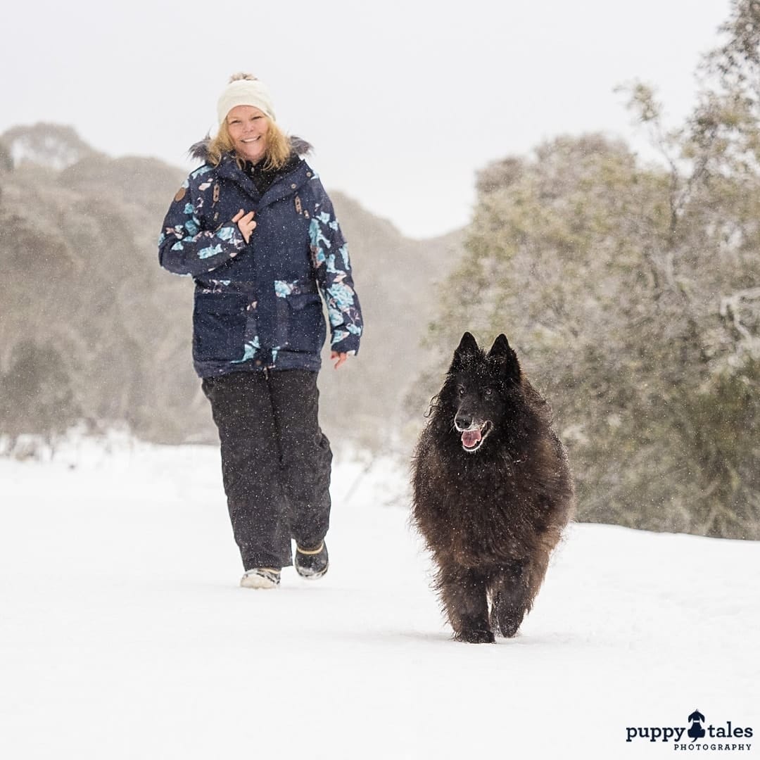 puppytalesphotography atozofsnowdogs winterwonderland 1