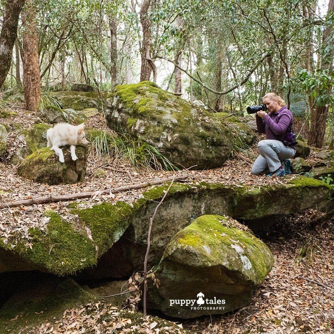 a woman capturing a photo of her dog