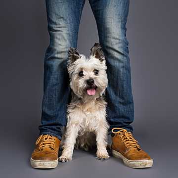 puppytalesphotography testimonials charlie 3 scaled