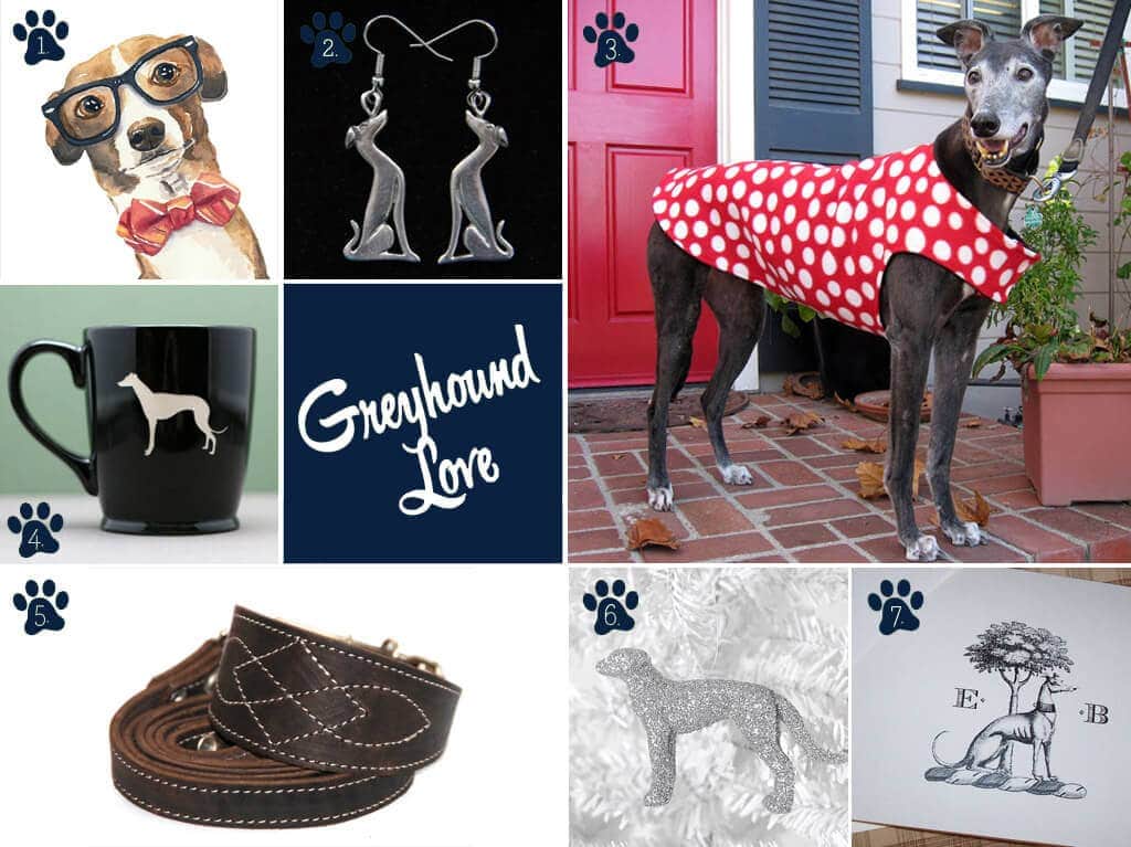 Shopping for your Greyhound