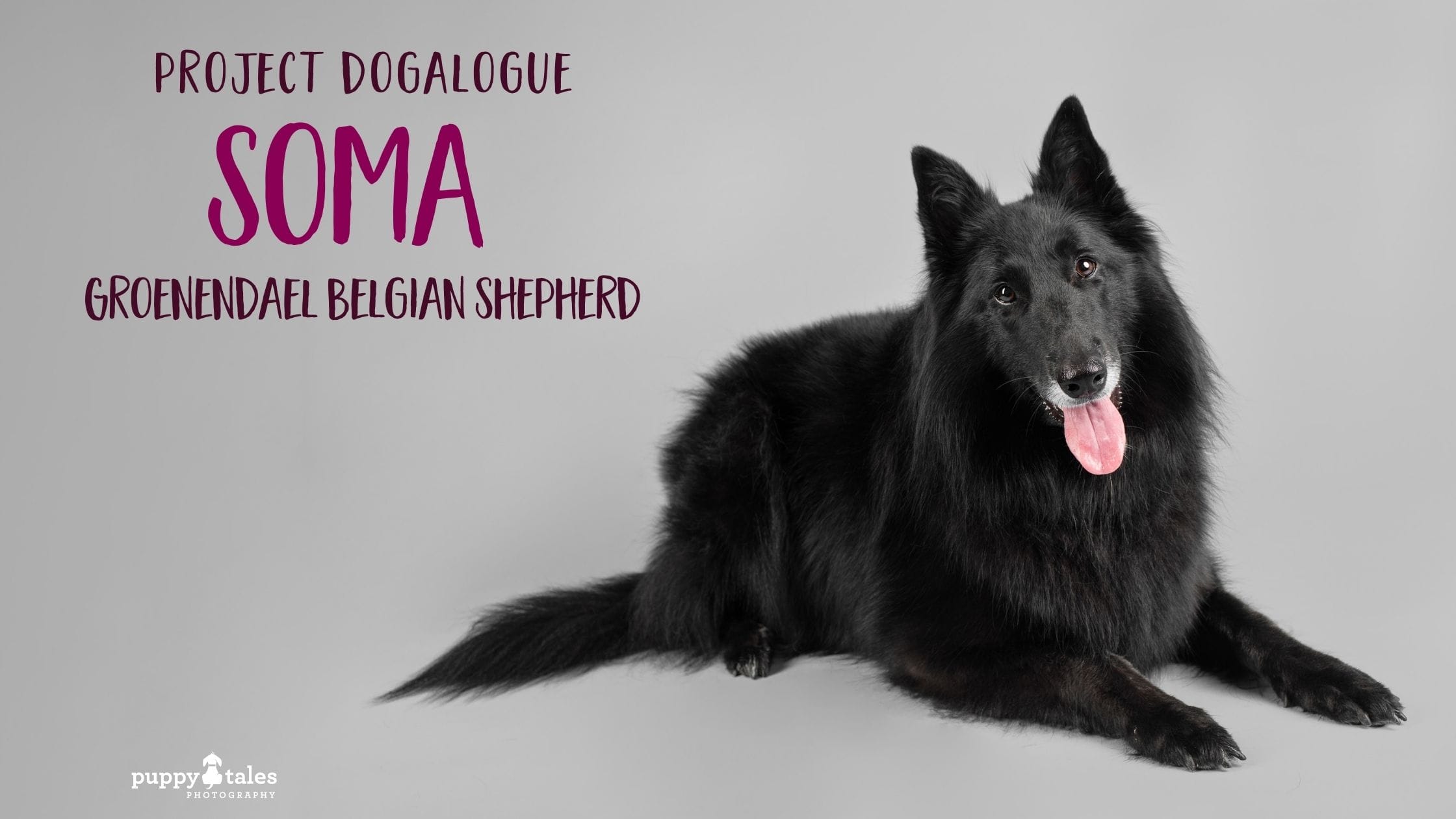 Soma Dogalogue Title a