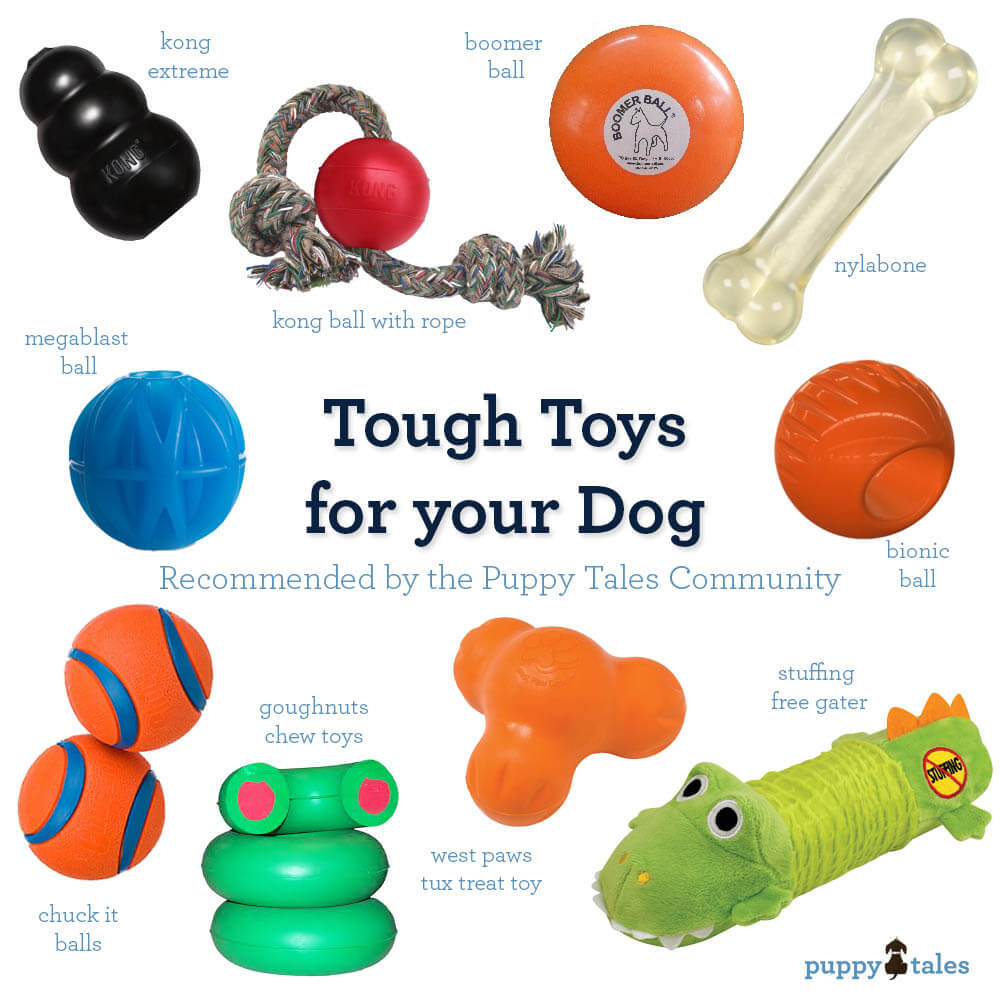 The Best Tough Toys for your Dog