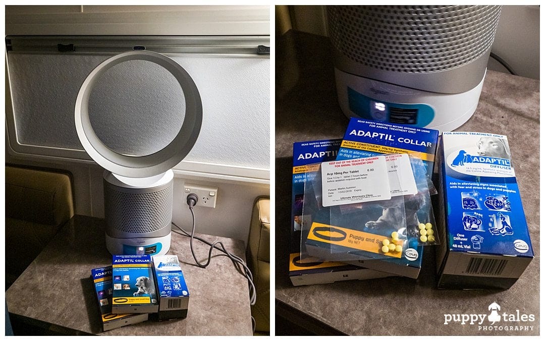 Adaptil calm diffuser or sprays to keep your dogs calm when you're travelling via the Spirit of Tasmania with dogs