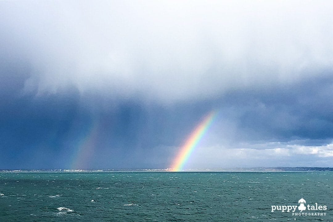 Beautiful rainbow between the sky and the ocean when travelling to Tasmania with dogs