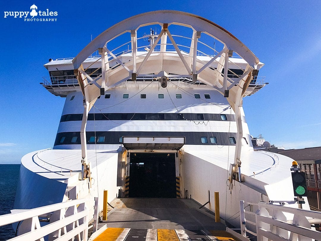 Travelling via the Spirit of Tasmania with dogs and a view of the ferry when you go inside