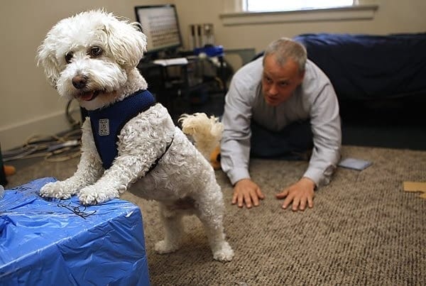 woof program charlie