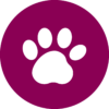 1. Be Passionately Pawsitive noun paw print 1342190 FFFFFF