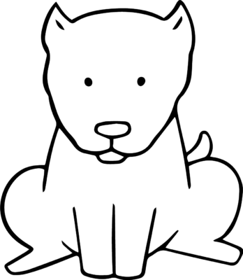 Dog 16