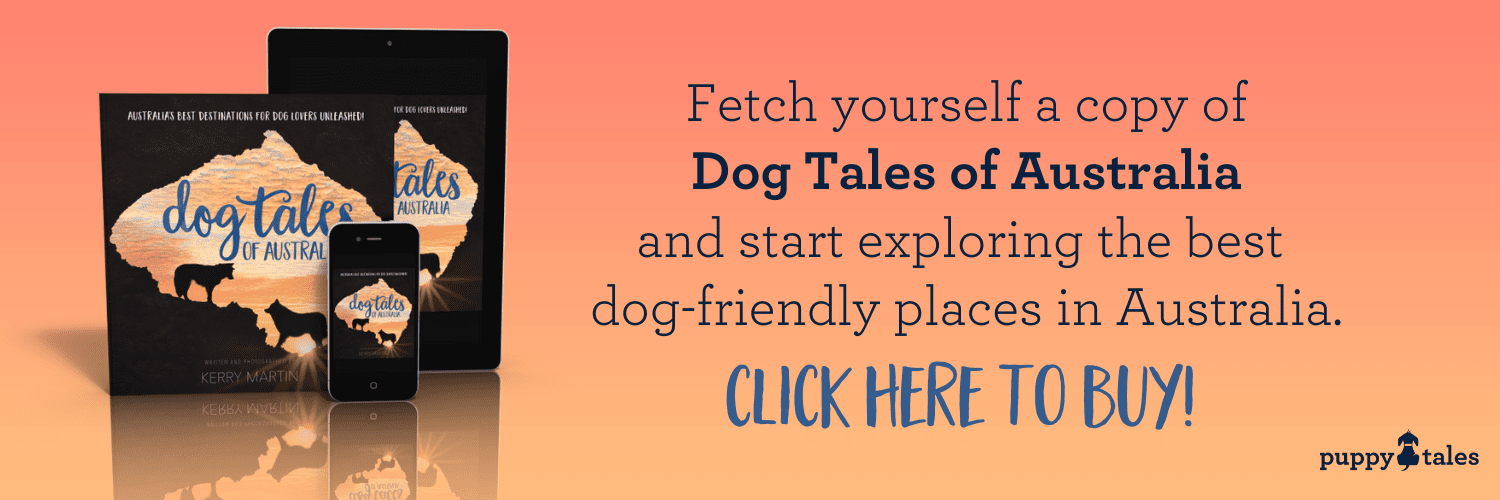 Get Dog Tales of Australia and explore the best dog-friendly places