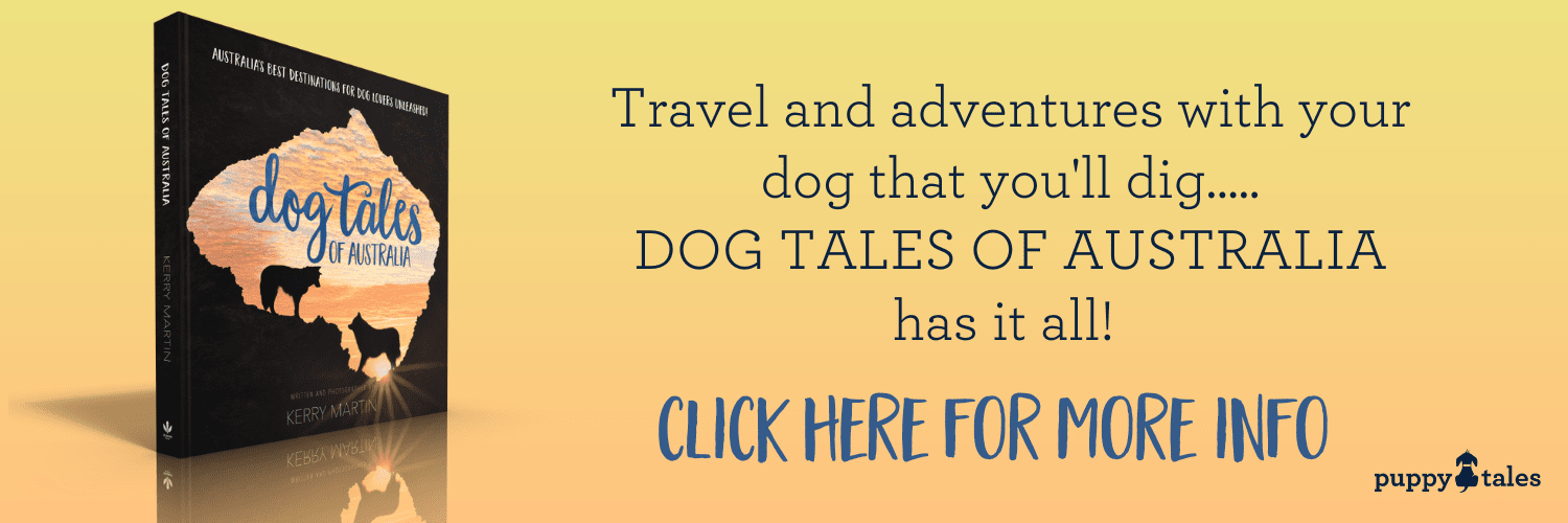 Travel and adventures with your dog that you'll dig, Dog Tales of Australia has it all!