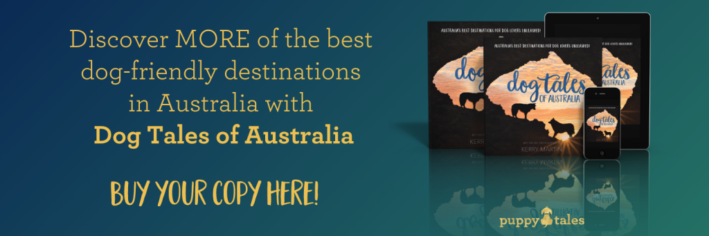 Discover more of the best dog-friendly destinations in Australia