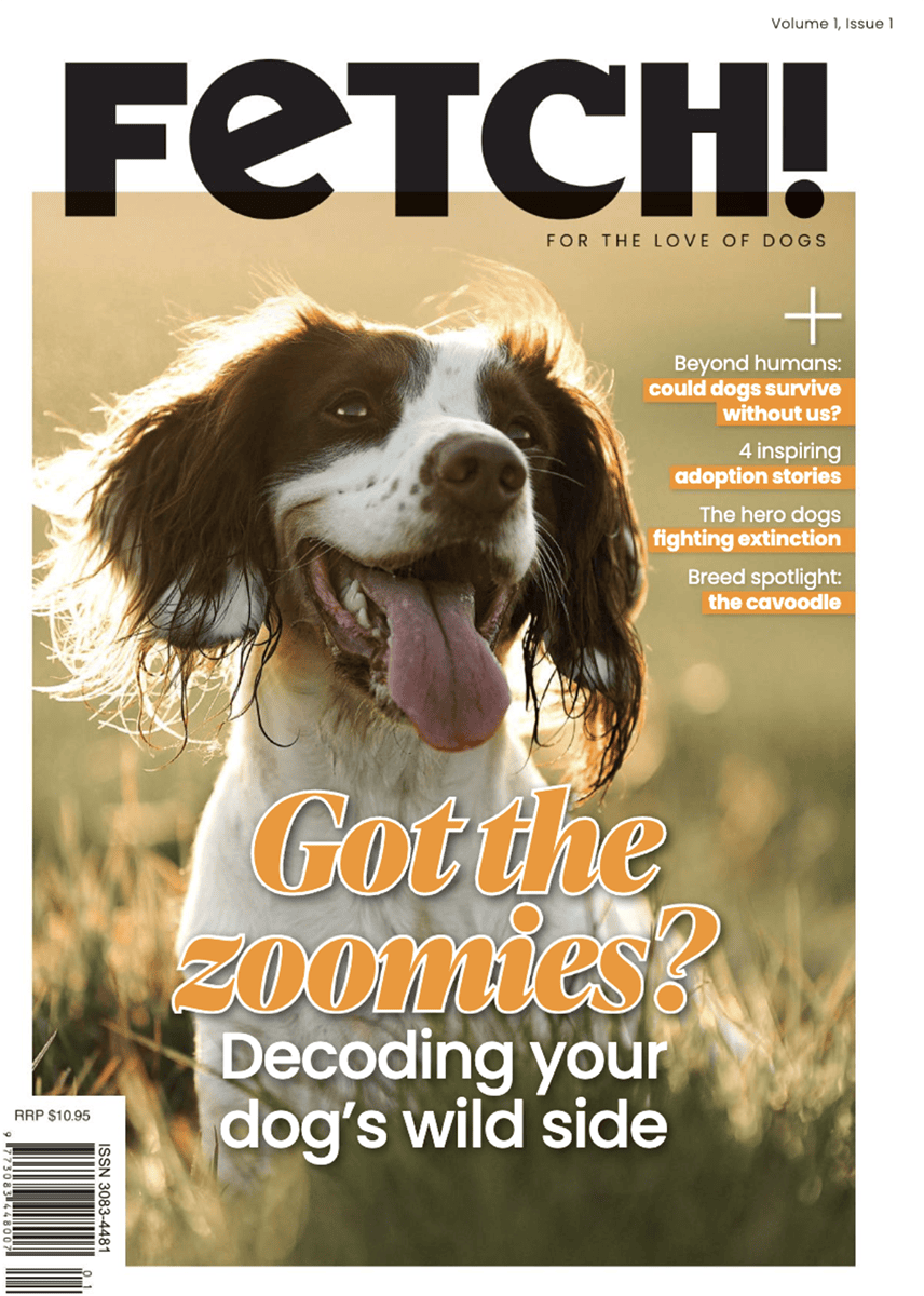 Australian Dog of the Year media feature in Fetch Magazine - Cover Image