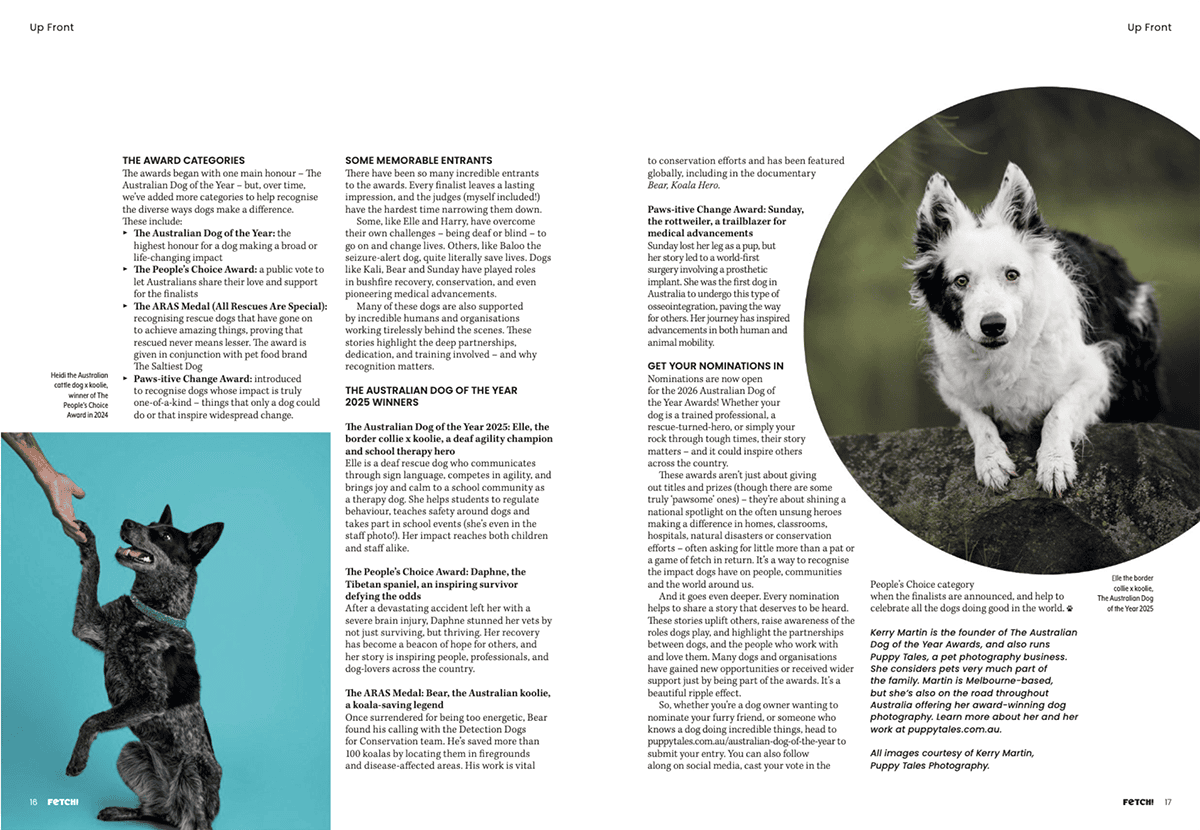 Australian Dog of the Year media feature in Fetch Magazine - Page 2