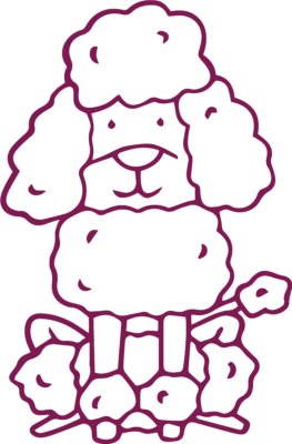 poodle maroon