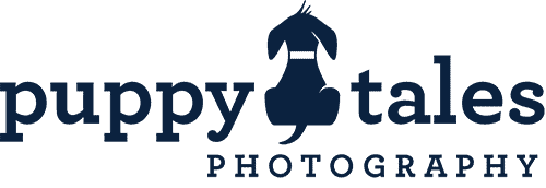 puppytales logo