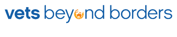 VETS BEYOND BORDERS Logo